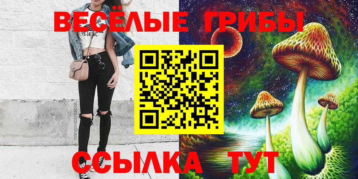 Псилоцибиновые грибы прущие грибы  Вход с VPN  Щёкино 