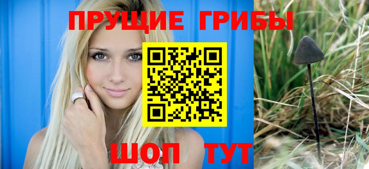 Галлюциногенные грибы прущие грибы Щёкино